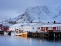 the harbour
