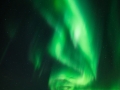 green dancers