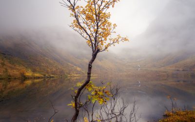 Senja – Erkundung einer Insel