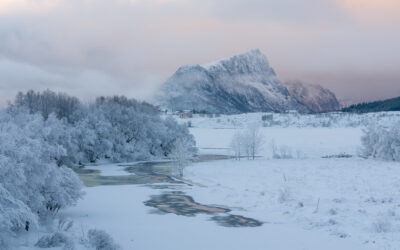 Zurück auf den Lofoten — die stillen Bilder